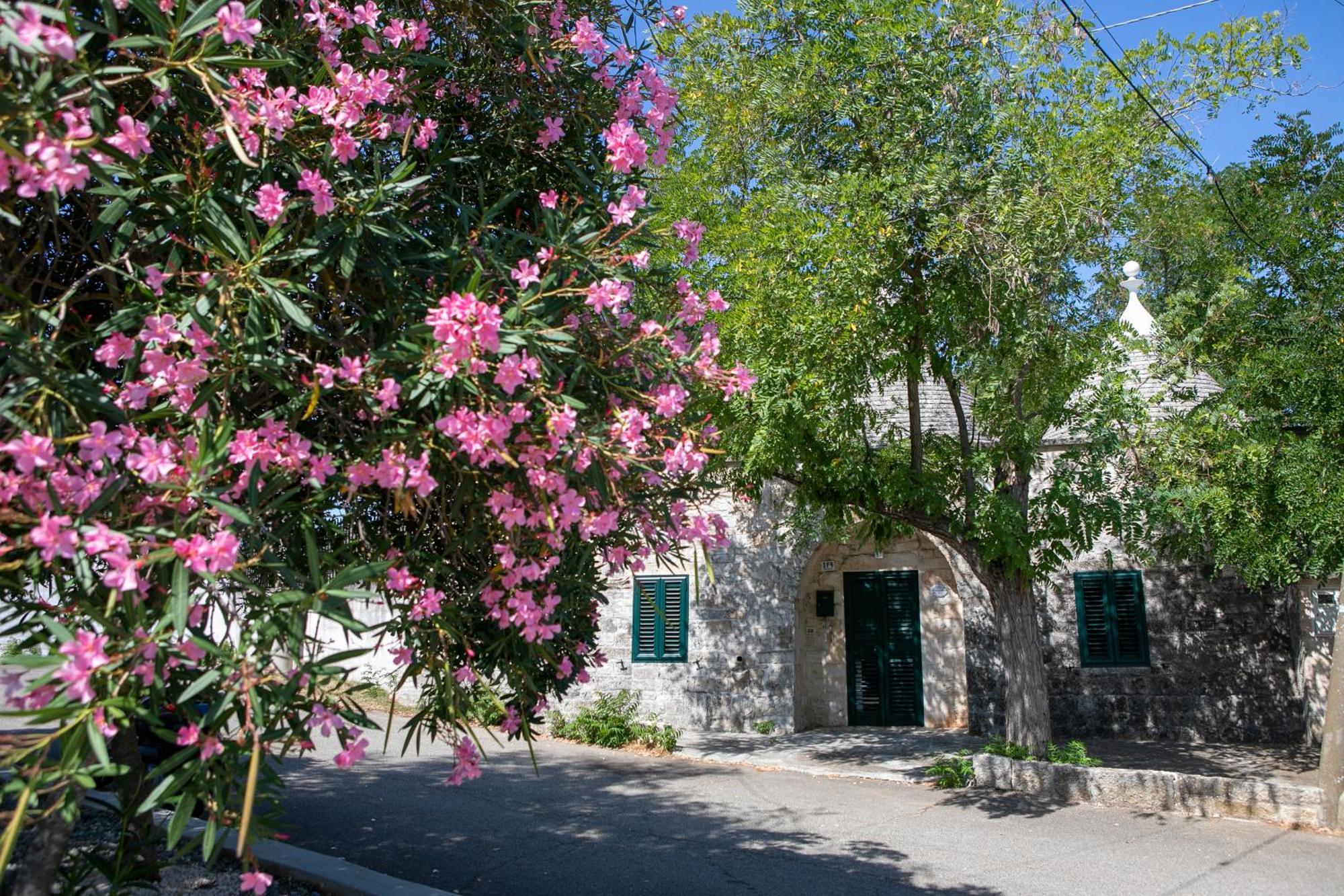 Villa Angolo Di Puglia Locorotondo Exterior foto